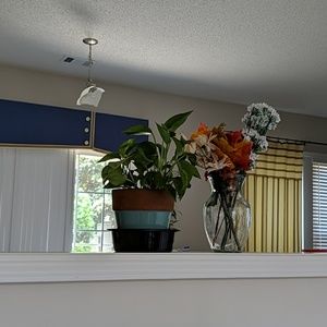 Meet your Posher, Likhitha